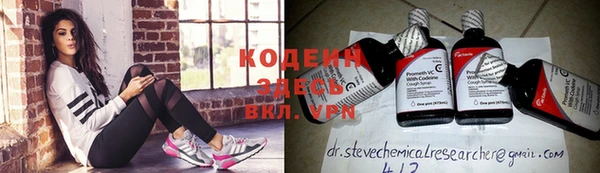 сатива Верея