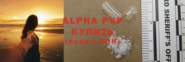 сатива Верея