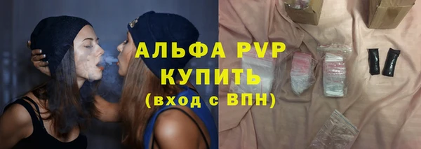 сатива Верея