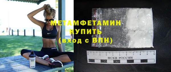 сатива Верея