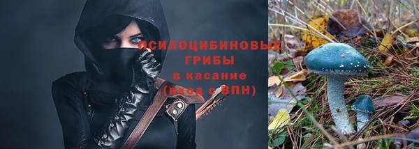 сатива Верея